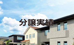 分譲実績